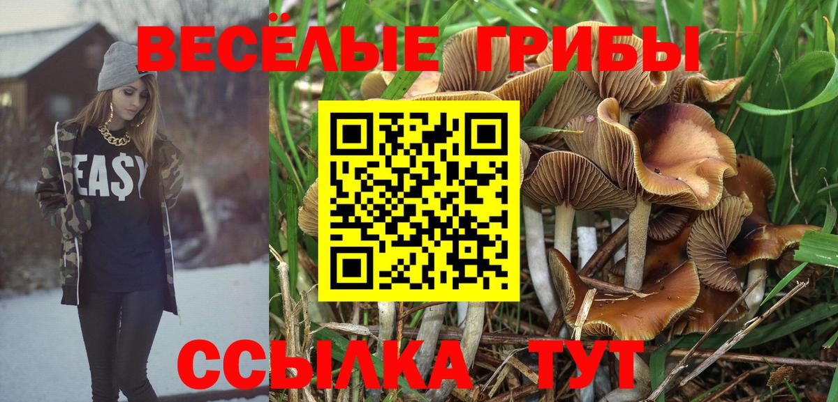 Тында  Галлюциногенные грибы Psilocybe  Вход с VPN  Псилоцибиновые грибы мицелий 